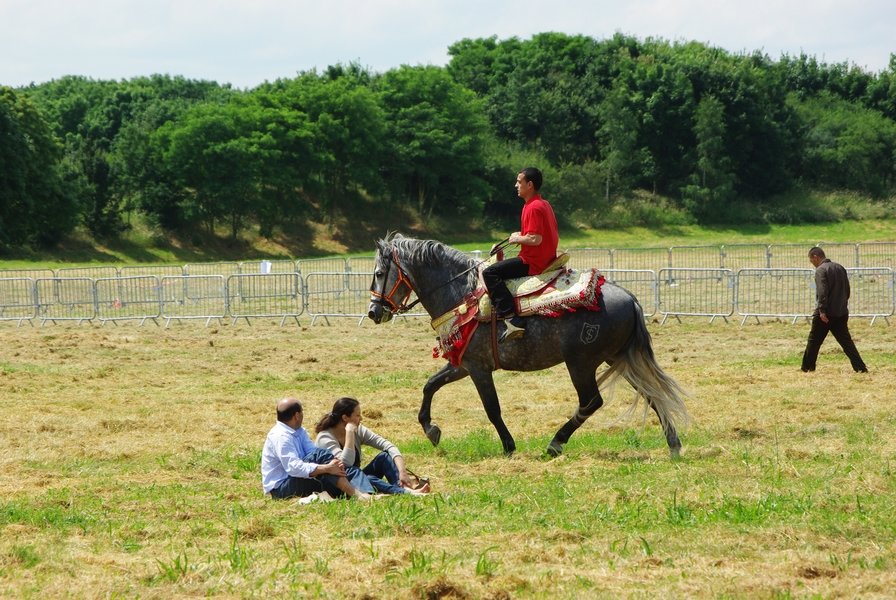 Le Moussem des Cultures 2008 013.jpg